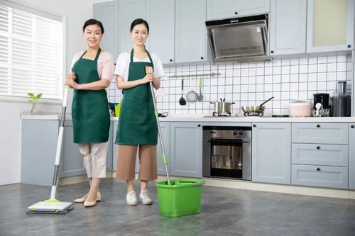 全新展區(qū)亮相，家政服務區(qū) 一站式解決家居生活終端的紛擾